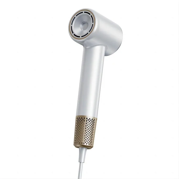 Pwofesyonèl pèsonalize seche cheve